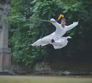 Master Hu Shi Huang – Wudang Kung Fu Academy