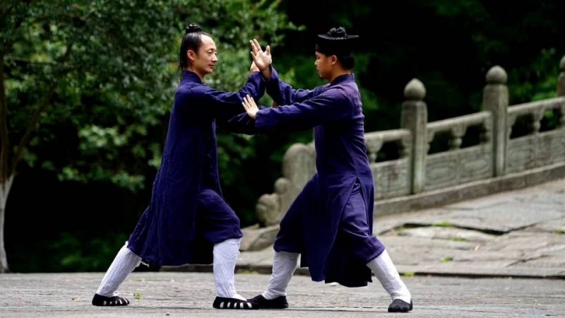 Wudang Tai Chi